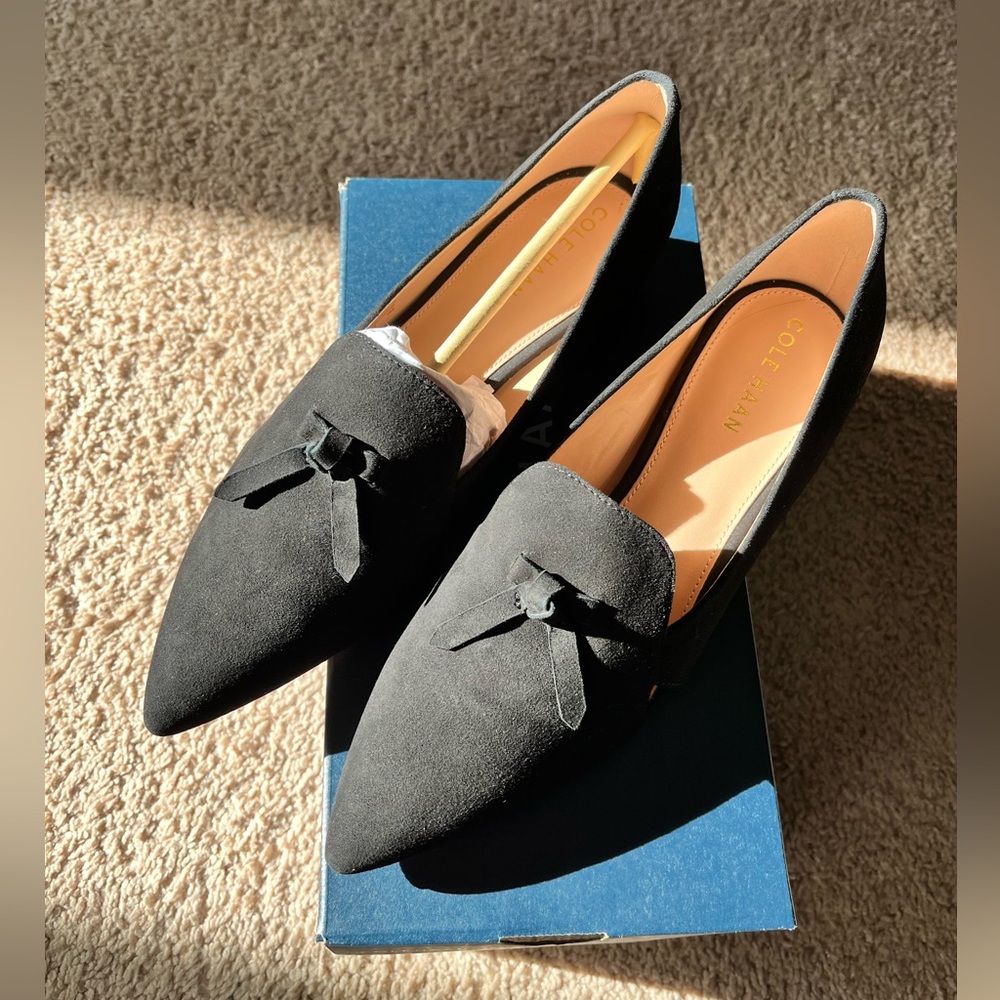 Black Suede Viola Skimmer Flat (NWT) | Cole Haan